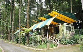 Taman Safari Cottage